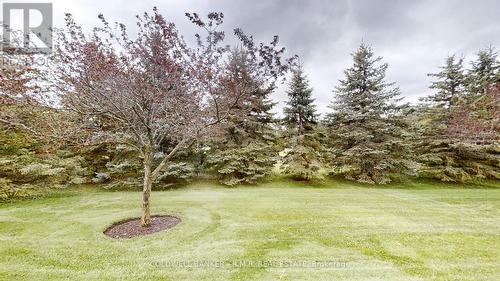 17 Legendary Trail, Whitchurch-Stouffville, ON - Outdoor With View