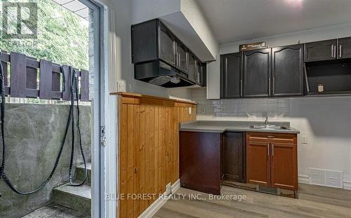 Lower - 901 Lawson Road N, London, ON - Indoor Photo Showing Kitchen With Double Sink