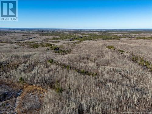 100 Acres Mckinnon Road, Miramichi, NB 