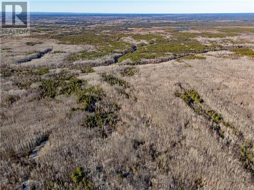 100 Acres Mckinnon Road, Miramichi, NB 