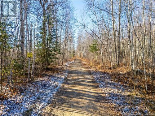 100 Acres Mckinnon Road, Miramichi, NB 