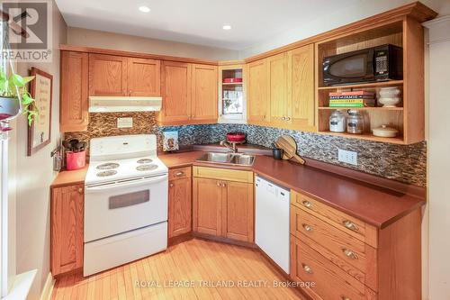 76 Euclid Avenue, London, ON - Indoor Photo Showing Kitchen With Double Sink