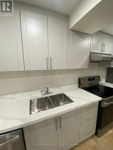 Basemnt - 1275 Menefy Place, Milton, ON - Indoor Photo Showing Kitchen With Double Sink