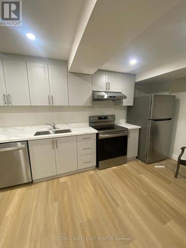 Basemnt - 1275 Menefy Place, Milton, ON - Indoor Photo Showing Kitchen With Double Sink