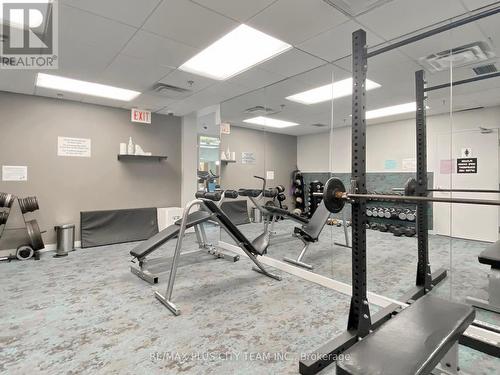 Th 112 - 60 Homewood Avenue, Toronto, ON - Indoor Photo Showing Gym Room