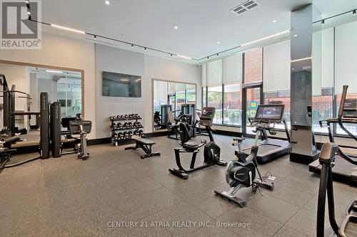 101 - 250 Lawrence Avenue W, Toronto, ON - Indoor Photo Showing Gym Room