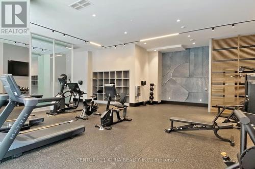 101 - 250 Lawrence Avenue W, Toronto, ON - Indoor Photo Showing Gym Room