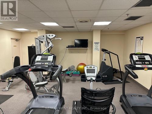 1205 - 95 La Rose Avenue, Toronto, ON - Indoor Photo Showing Gym Room