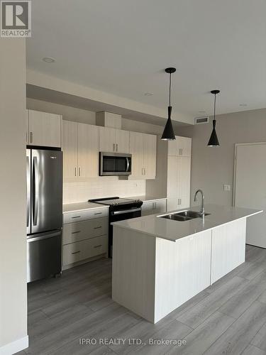 302 - 119 Lincoln Street, Welland, ON - Indoor Photo Showing Kitchen With Double Sink