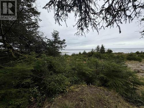 11219 Tow Hill Road, Masset, BC 