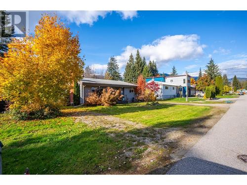 67 Burke Drive, Revelstoke, BC - Outdoor