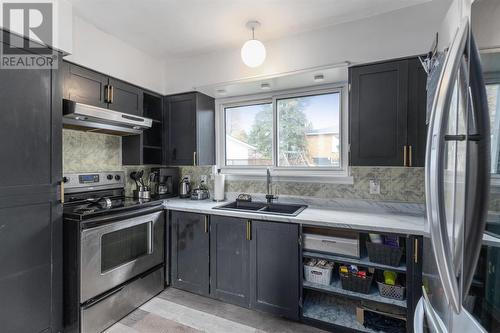 538 Macdonald Ave, Sault Ste. Marie, ON - Indoor Photo Showing Kitchen With Double Sink