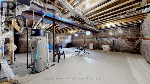 156 Petch Avenue, Caledon, ON - Indoor Photo Showing Basement