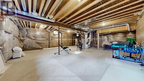 156 Petch Avenue, Caledon, ON - Indoor Photo Showing Basement