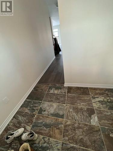 95 Vanilla Trail, Thorold, ON - Indoor Photo Showing Other Room