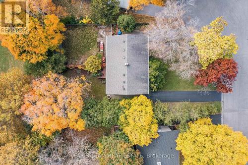 5 Vanity Court, Toronto, ON - Outdoor With View