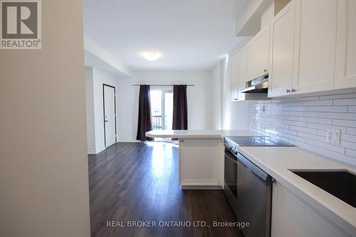 1B - 164 Heiman Street, Kitchener, ON - Indoor Photo Showing Kitchen