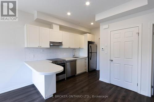 1B - 164 Heiman Street, Kitchener, ON - Indoor Photo Showing Kitchen