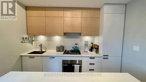 210 - 243 Perth Avenue, Toronto, ON - Indoor Photo Showing Kitchen