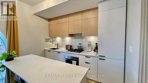 210 - 243 Perth Avenue, Toronto, ON - Indoor Photo Showing Kitchen With Upgraded Kitchen