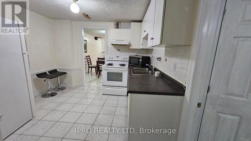 Bsmnt - 71 Grassington Crescent, Brampton, ON - Indoor Photo Showing Kitchen With Double Sink