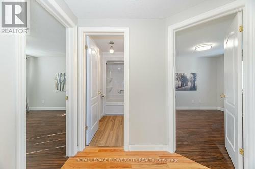 587 Langlaw Drive, Cambridge, ON - Indoor Photo Showing Other Room