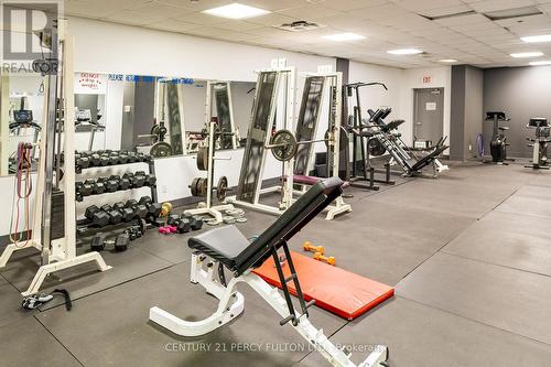 1204 - 393 King Street W, Toronto, ON - Indoor Photo Showing Gym Room