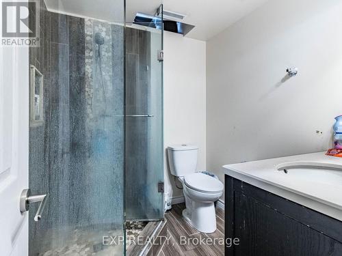 1051 Mcclenahan Crescent, Milton, ON - Indoor Photo Showing Bathroom