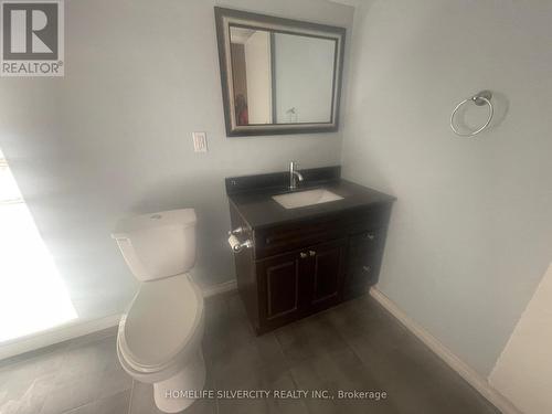 10263 Goreway Drive, Brampton, ON - Indoor Photo Showing Bathroom