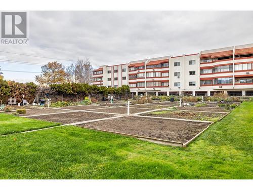 Well-maintained resident community garden - 2085 Gordon Drive Unit# 215, Kelowna, BC - Outdoor