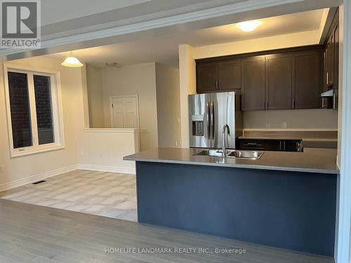 115 Kenneth Rogers Crescent, East Gwillimbury, ON - Indoor Photo Showing Kitchen With Double Sink