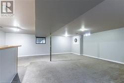 Basement with carpet flooring - 