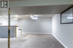 Basement featuring light colored carpet - 