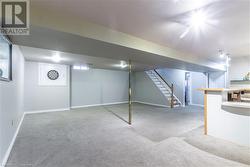 Basement featuring light carpet - 