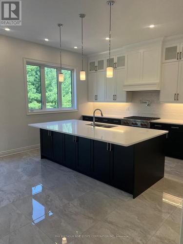 47 Bush Ridges Avenue, Richmond Hill, ON - Indoor Photo Showing Kitchen With Upgraded Kitchen