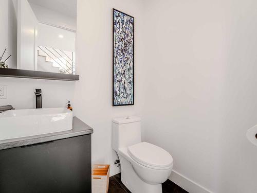 Powder room - 138 Ch. De Touraine, Saint-Sauveur, QC - Indoor Photo Showing Bathroom