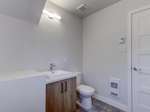 Powder room - 181 Rue Du Lac-À-L'Anguille, Saint-Hippolyte, QC - Indoor Photo Showing Bathroom