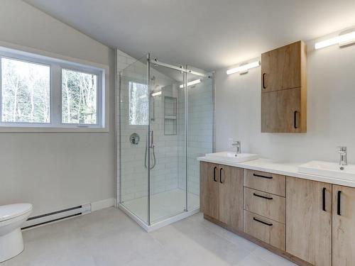 Bathroom - 181 Rue Du Lac-À-L'Anguille, Saint-Hippolyte, QC - Indoor Photo Showing Bathroom