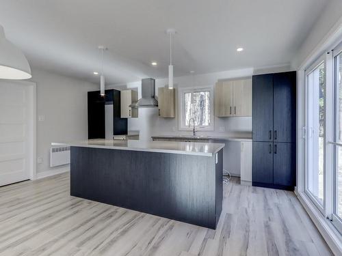 Kitchen - 181 Rue Du Lac-À-L'Anguille, Saint-Hippolyte, QC - Indoor Photo Showing Kitchen With Upgraded Kitchen