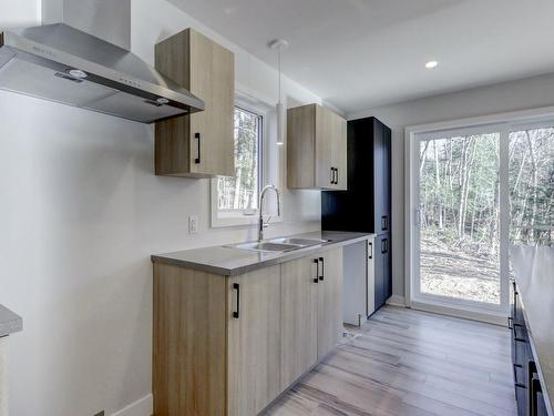 Kitchen - 181 Rue Du Lac-À-L'Anguille, Saint-Hippolyte, QC - Indoor Photo Showing Kitchen With Double Sink