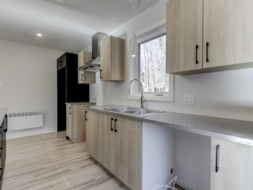 Kitchen - 181 Rue Du Lac-À-L'Anguille, Saint-Hippolyte, QC - Indoor Photo Showing Kitchen With Double Sink