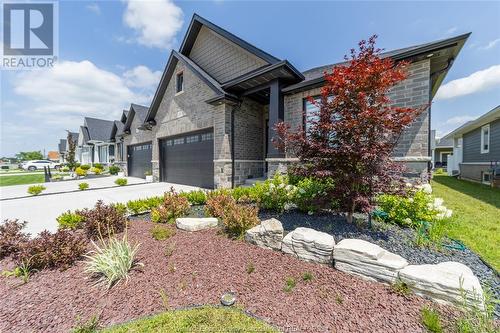 395 Caserta Crescent, Lakeshore, ON - Outdoor