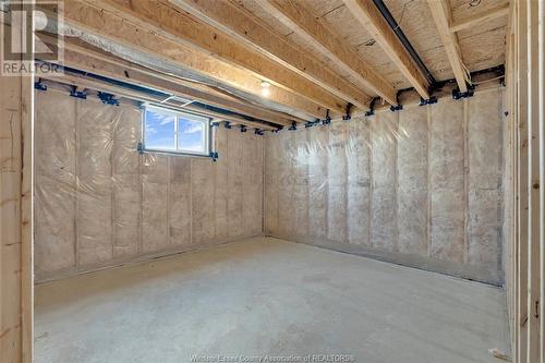 4430 Belmont, Lakeshore, ON - Indoor Photo Showing Basement