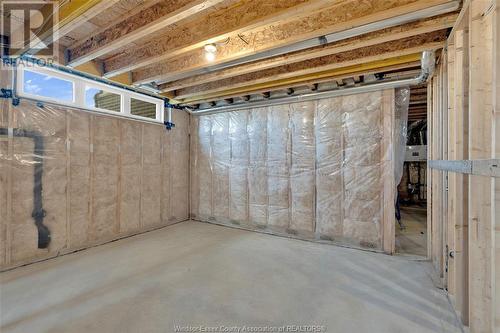 4430 Belmont, Lakeshore, ON - Indoor Photo Showing Basement