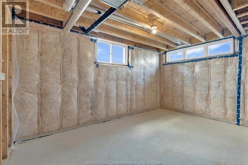 4430 Belmont, Lakeshore, ON - Indoor Photo Showing Basement