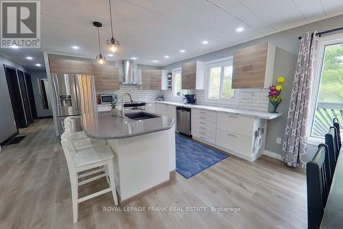 4053 County Rd 36, Galway-Cavendish And Harvey, ON - Indoor Photo Showing Kitchen With Upgraded Kitchen