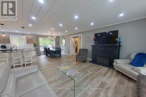 4053 County Rd 36, Galway-Cavendish And Harvey, ON - Indoor Photo Showing Living Room With Fireplace