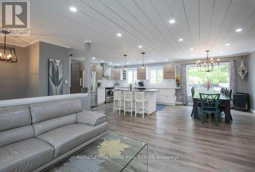 4053 County Rd 36, Galway-Cavendish And Harvey, ON - Indoor Photo Showing Living Room