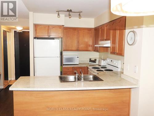 1123 - 231 Fort York Boulevard, Toronto, ON - Indoor Photo Showing Kitchen With Double Sink