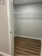 Walk in closet with dark wood-type flooring - 